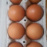 Jumbo Eggs (12)