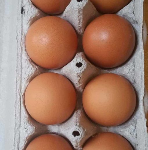 Jumbo eggs (12)