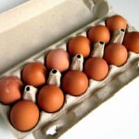Large Eggs (12)