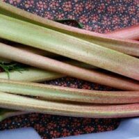 1lb Fresh Rhubarb