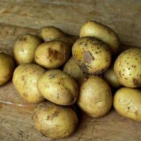 2lb bag mini potatoes