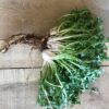 Certified Organic IMG 0794Wild Dandelion Certified Organic