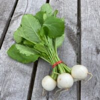 Img 2631salad turnips