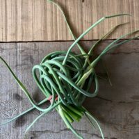 Garlic scapes, bunch