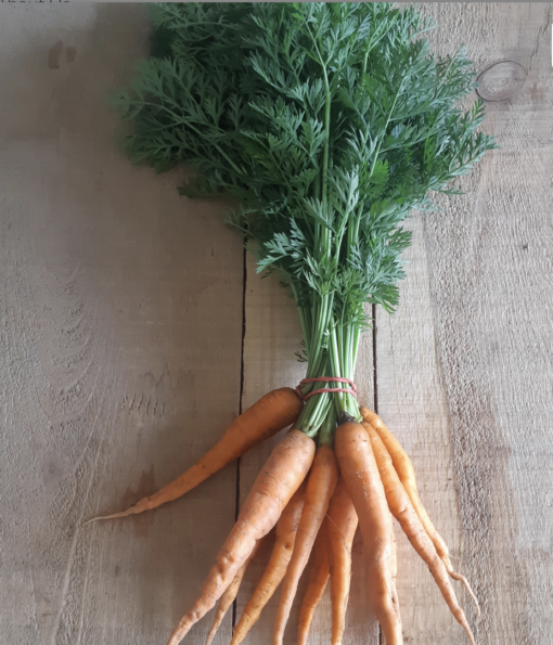 Screen shot 2022 07 15 carrots bunched certified organic