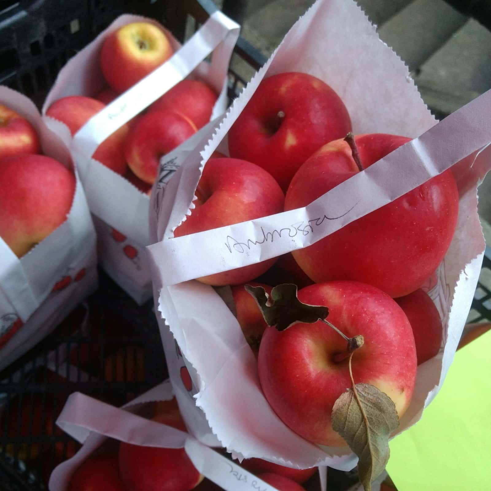 Ambrosia Apples - 5lbs