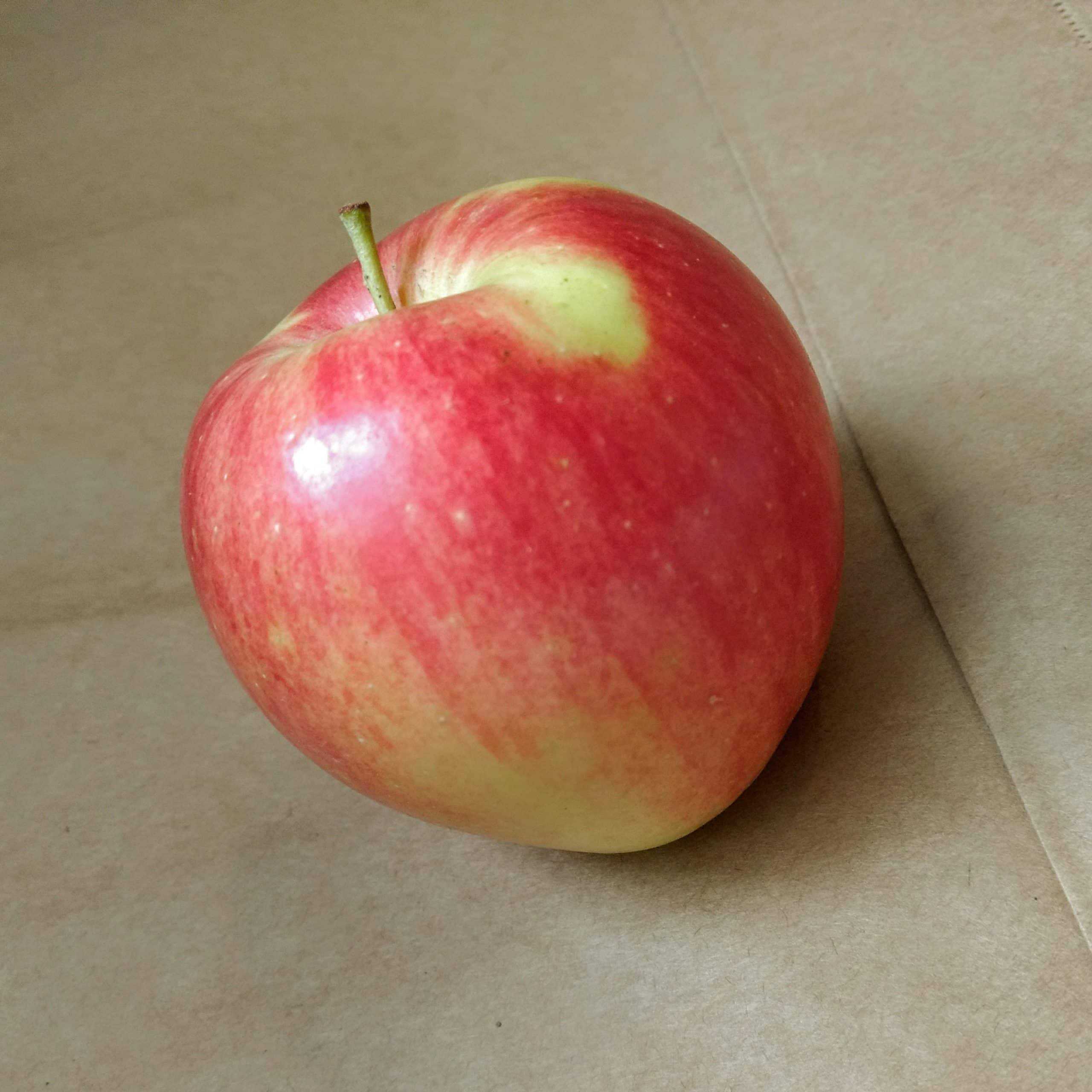 Apple - royal gala organic (bc grown)