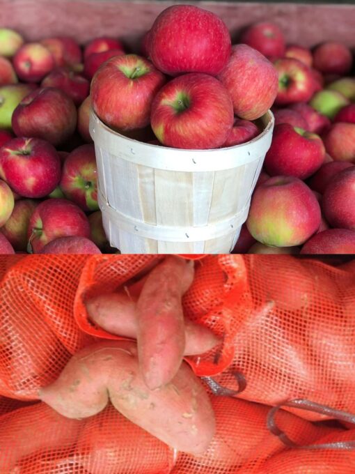 Apples and taters honey crisp apple special $10 5lb bag and 1 free bag of sweet potatoes