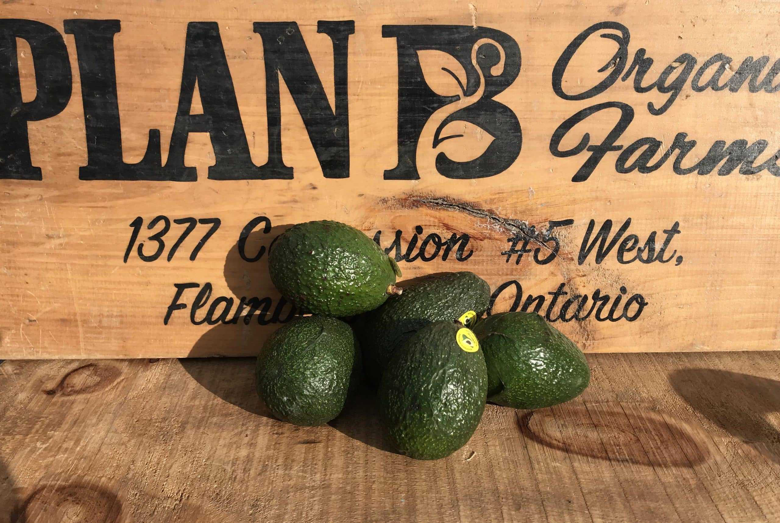 Organic, product of Mexico - 1 avocado Avocado (Imported)