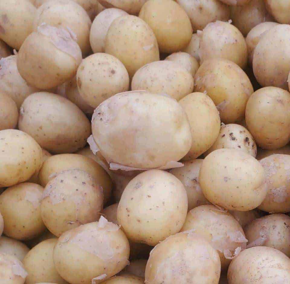 1 Pint of Potatoes Baby New Potatoes