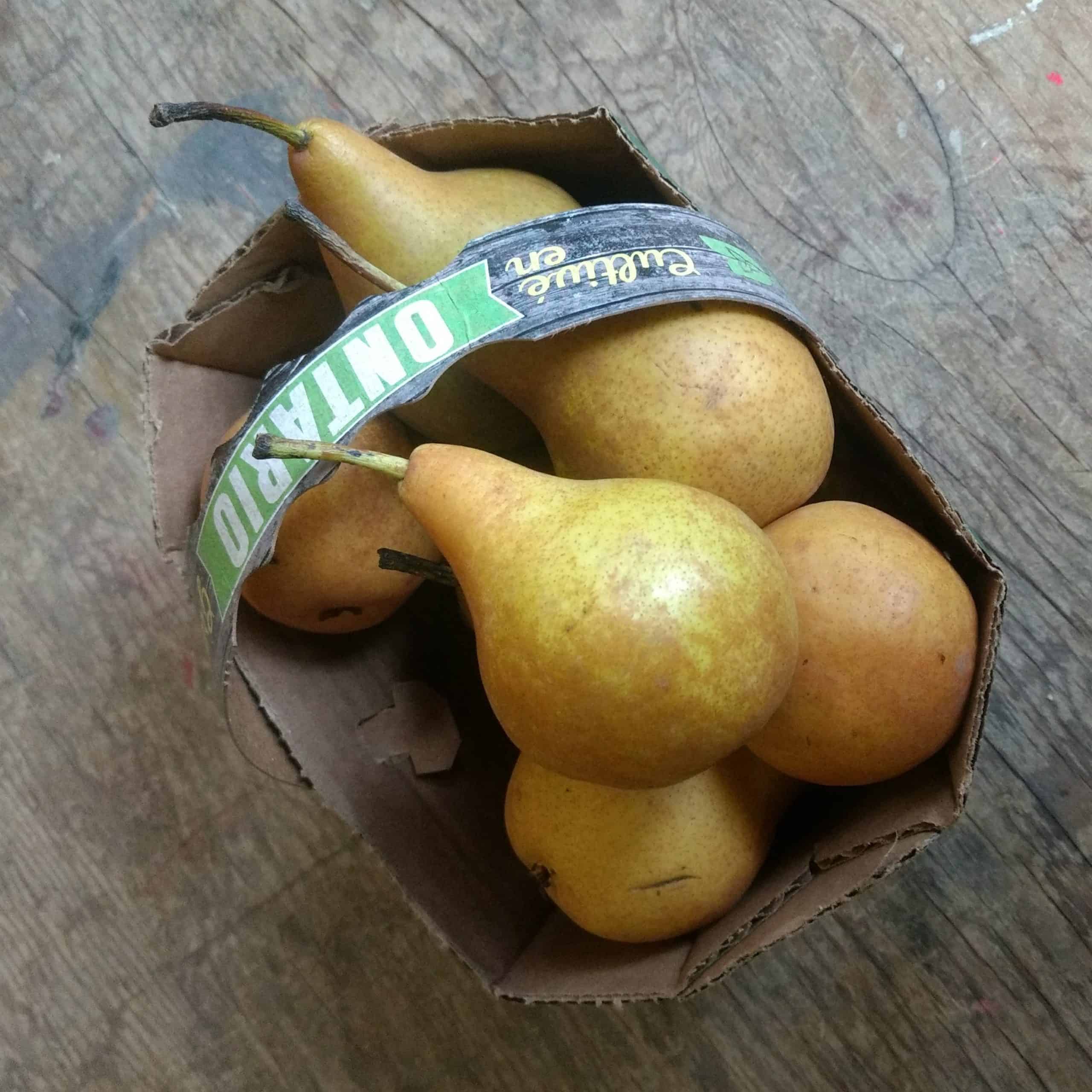 Bosc pears - 2 lit. Basket