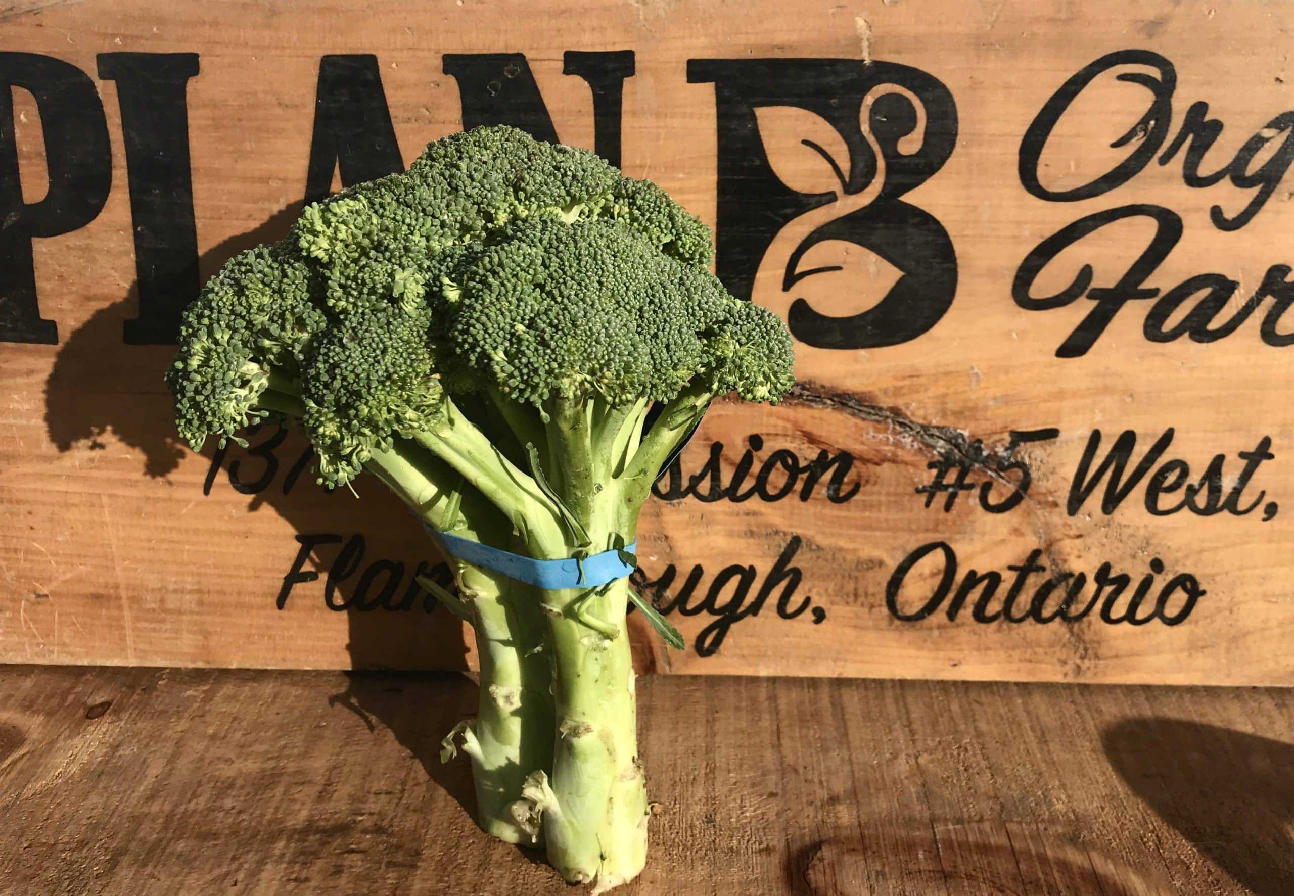 Broccoli, organic  (imported)