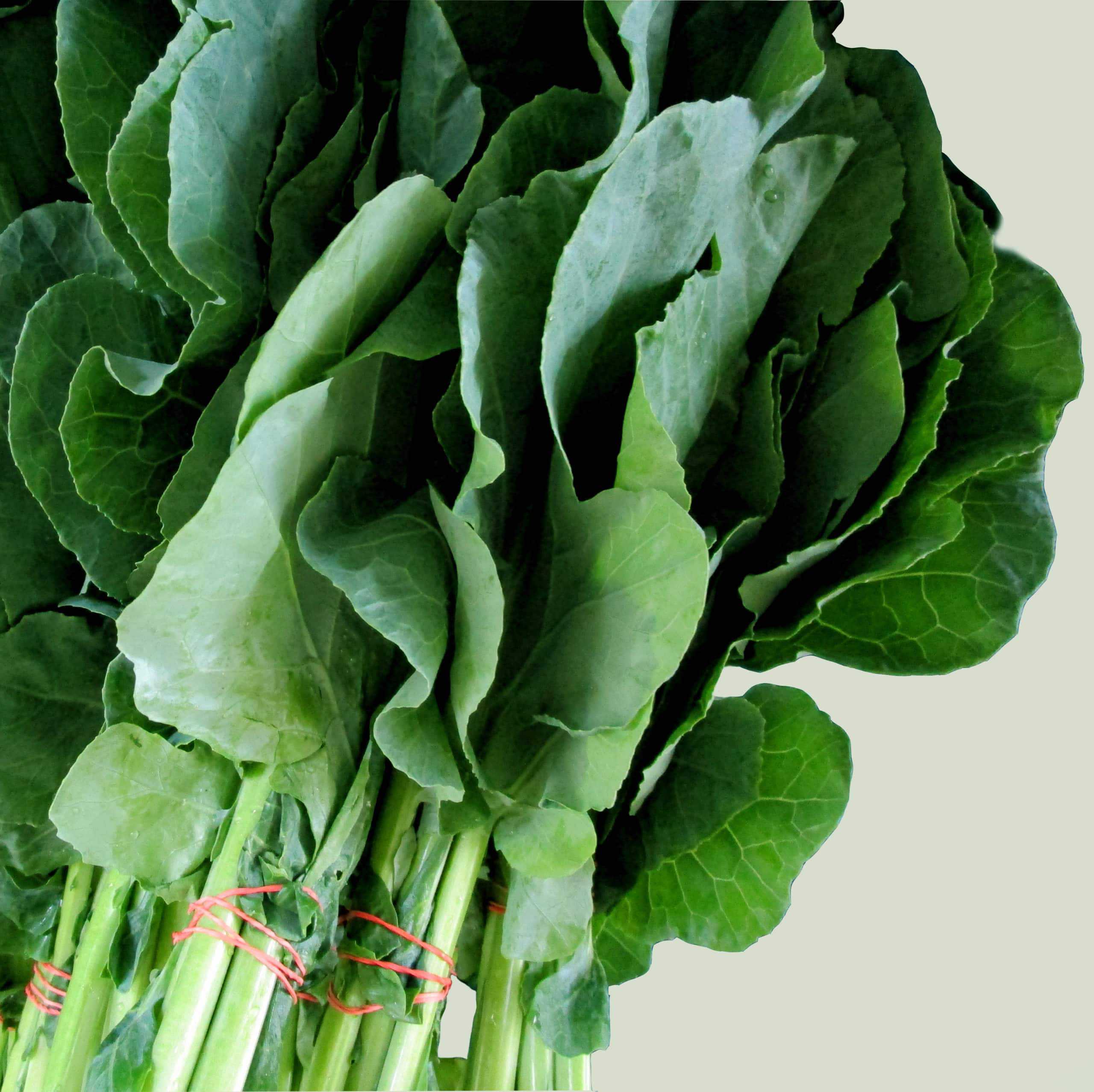Bunch Collard Greens