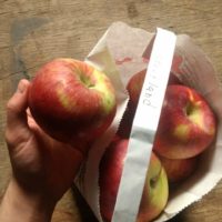 Courtland apples -5 lbs