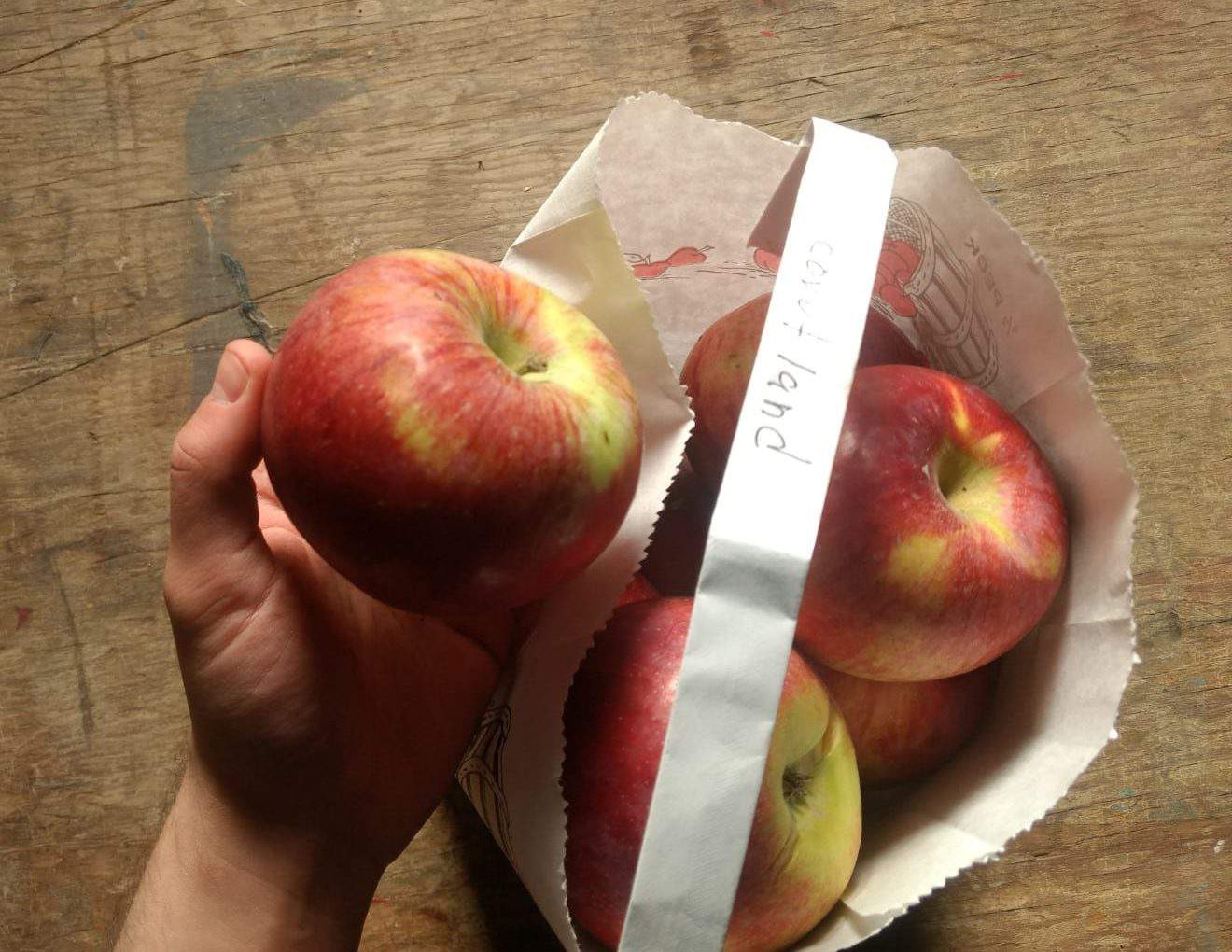 Courtland apples -5 lbs
