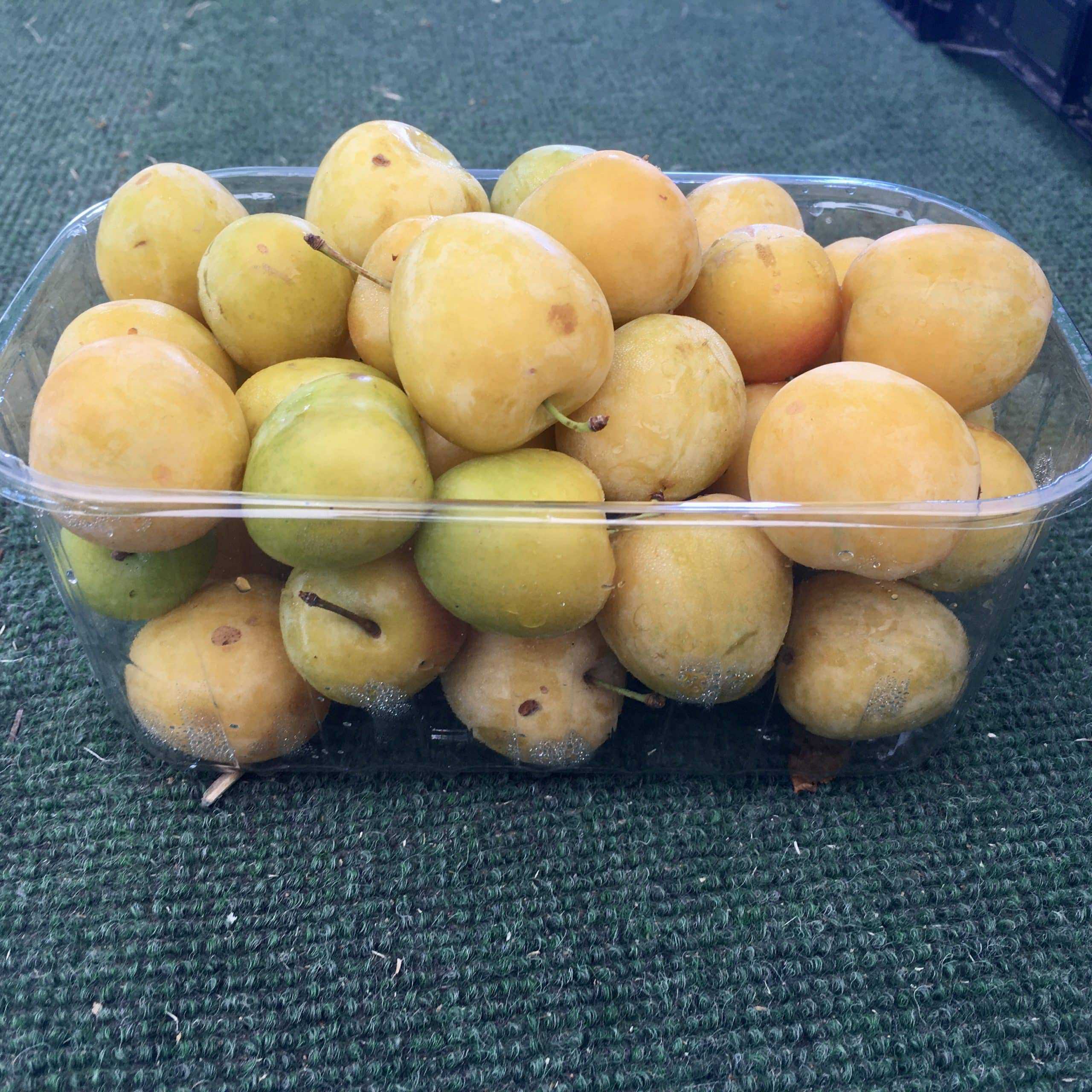 Early golden plums - 1. 5l