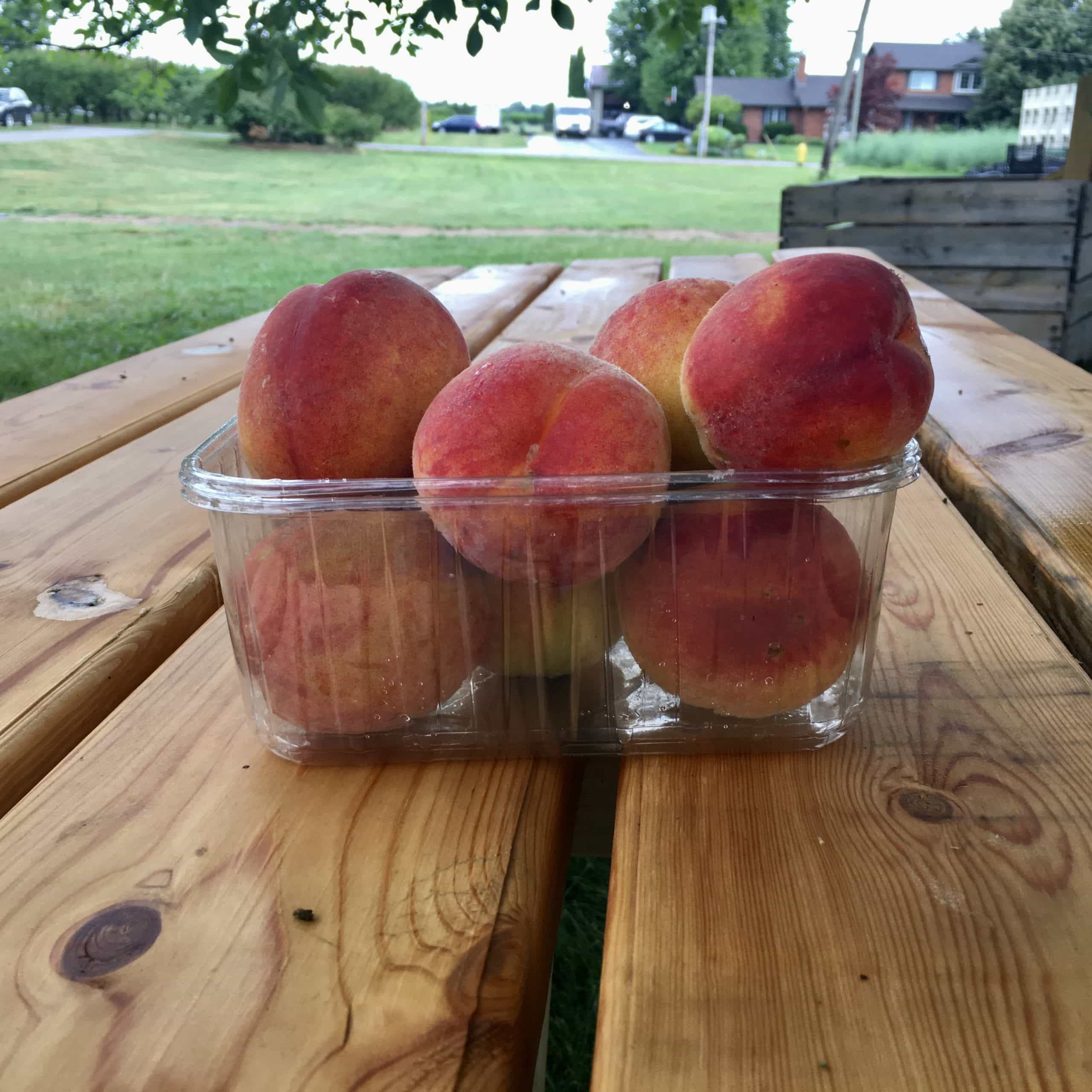 Early red haven peaches - 1. 5 l