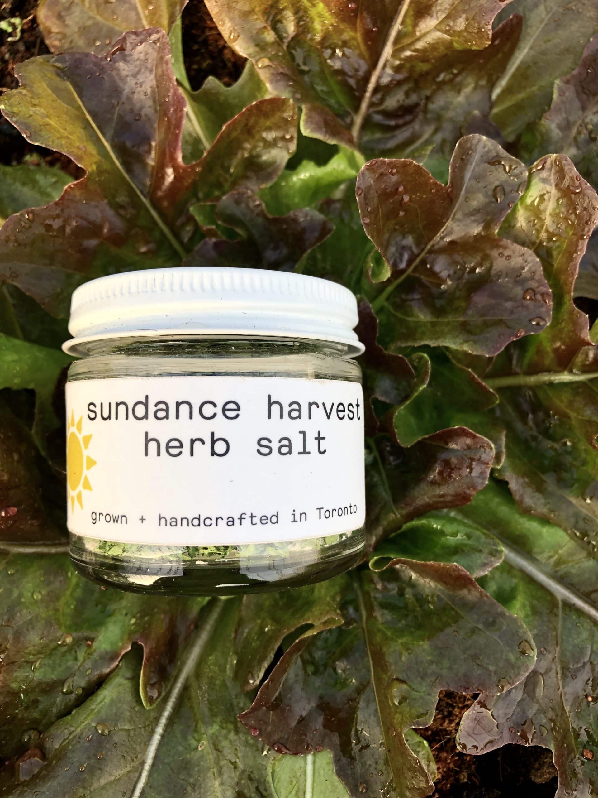 Fennel herb salt