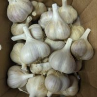 Garlic (1 medium bulb)
