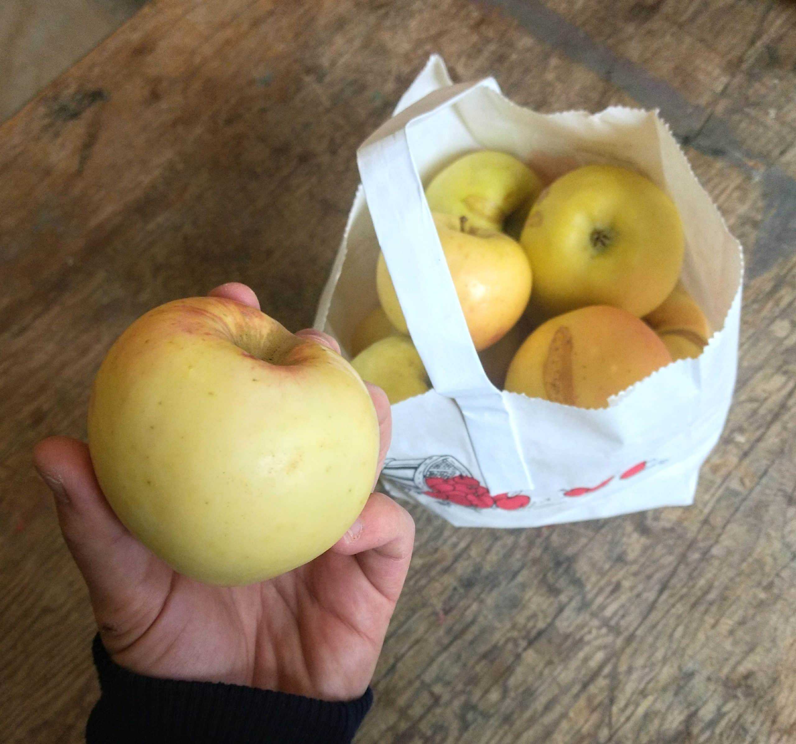 Super Sweet & Crunchy Golden Gala Apples - 5lbs