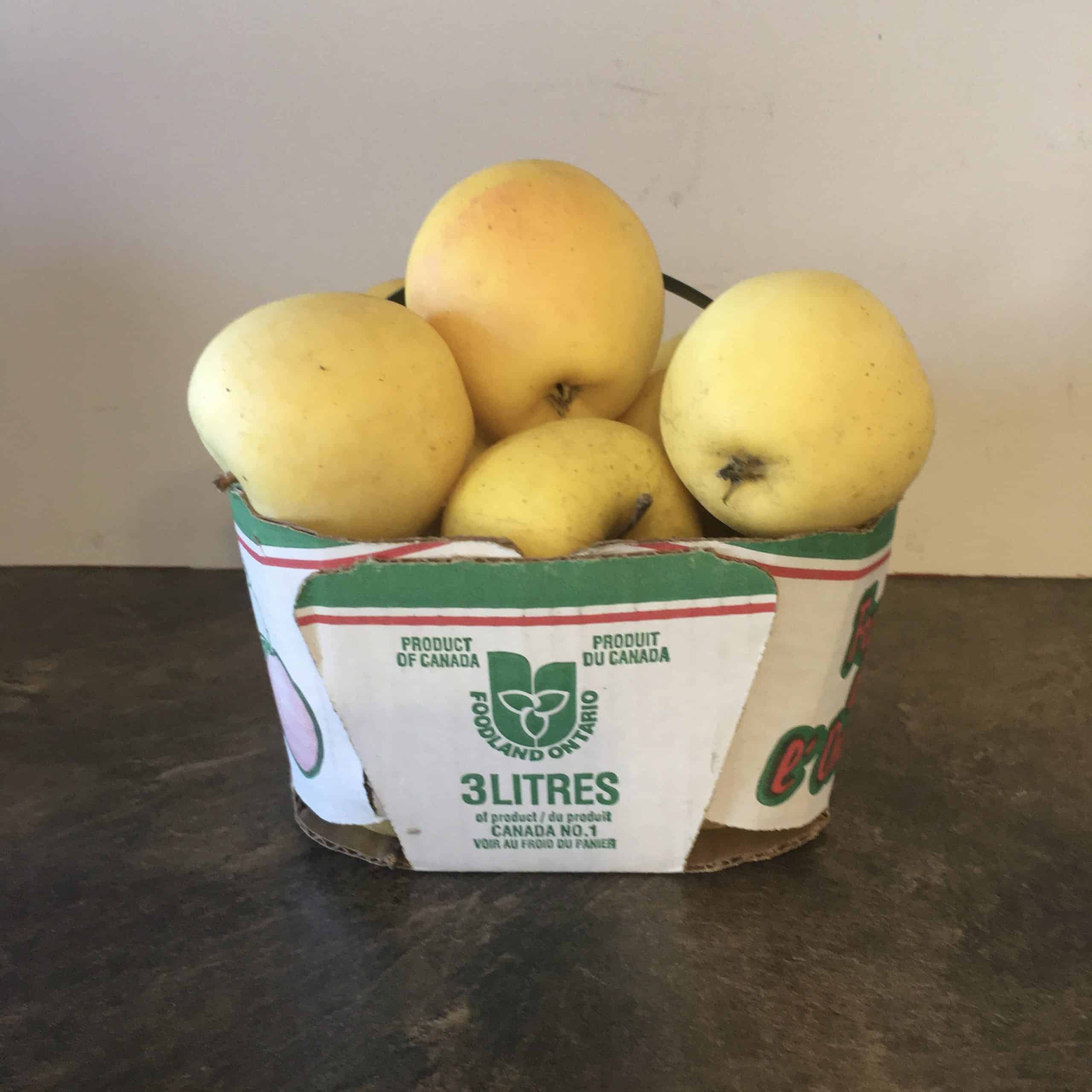 Golden Gala Apples