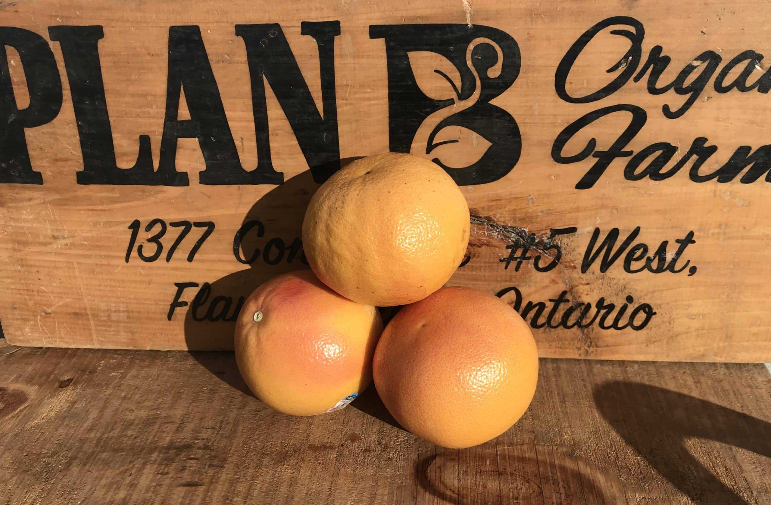 Valencia- product of Mexico - 1 Orange Grapefruit (Imported)