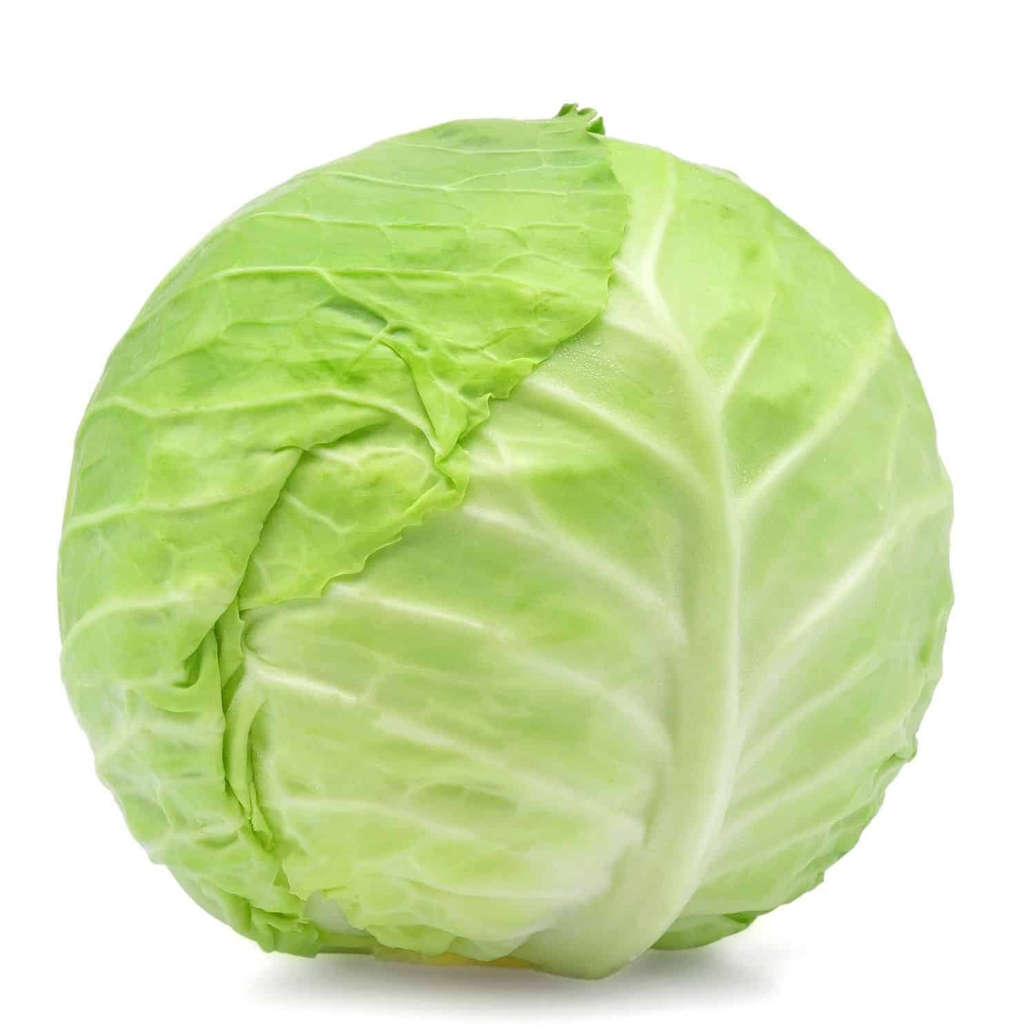 1 green cabbage Green Cabbage