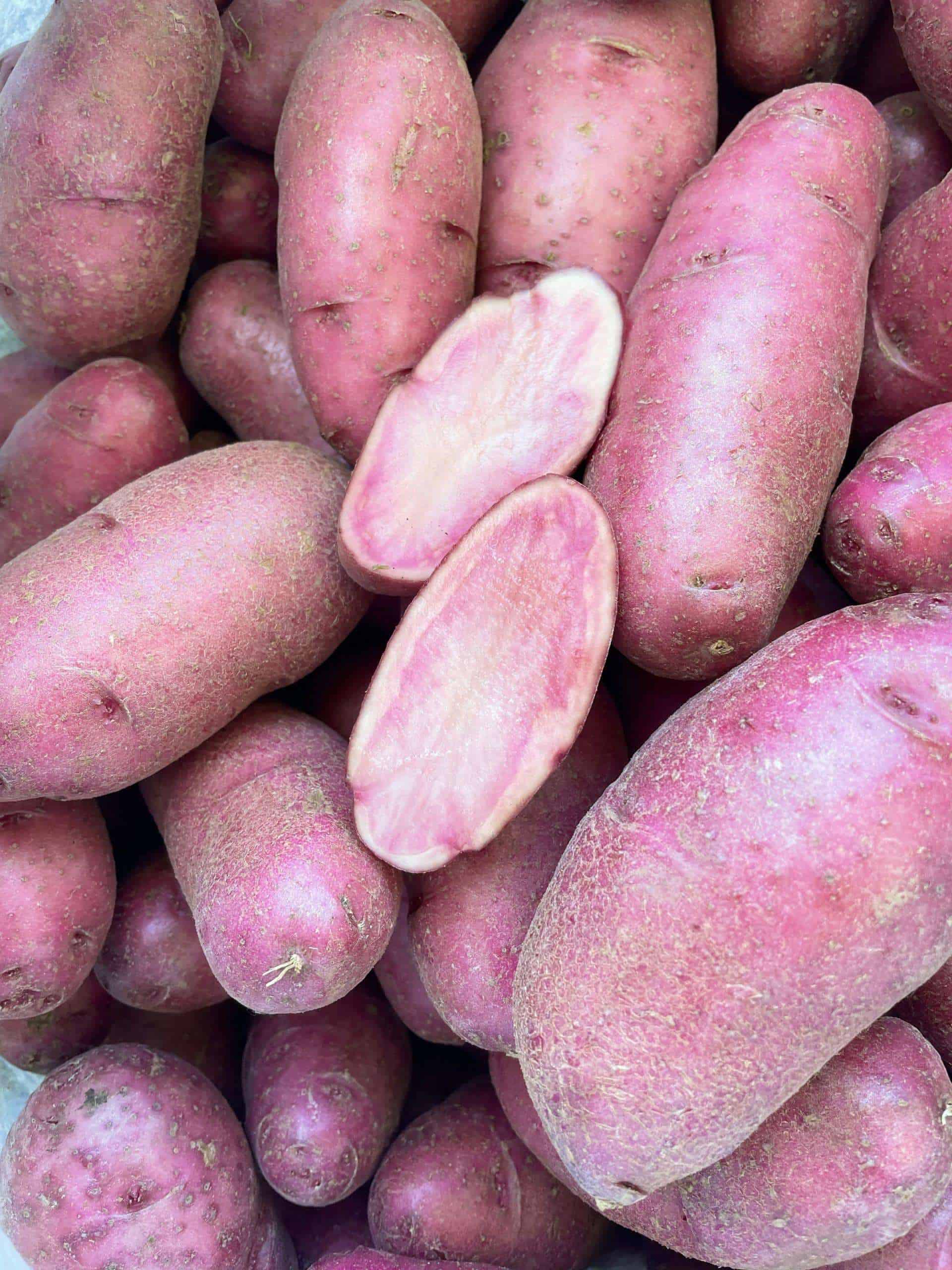 Heirloom potato