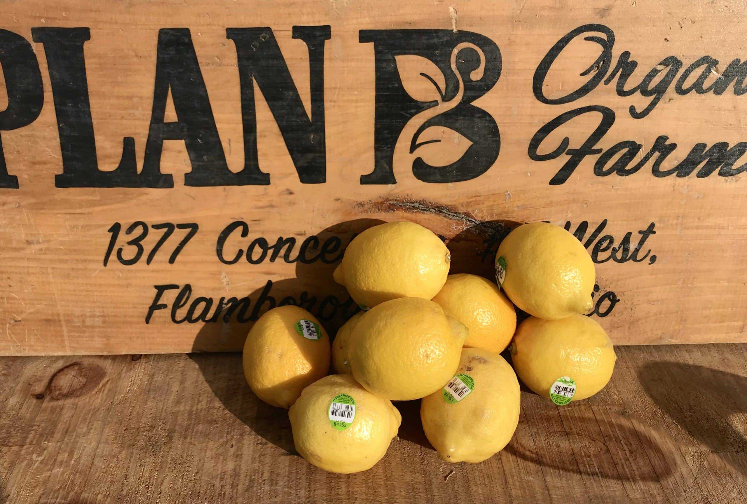 Organic, product of Mexico - 1 lemon Lemon (Imported)