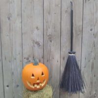 Little Witch Broom