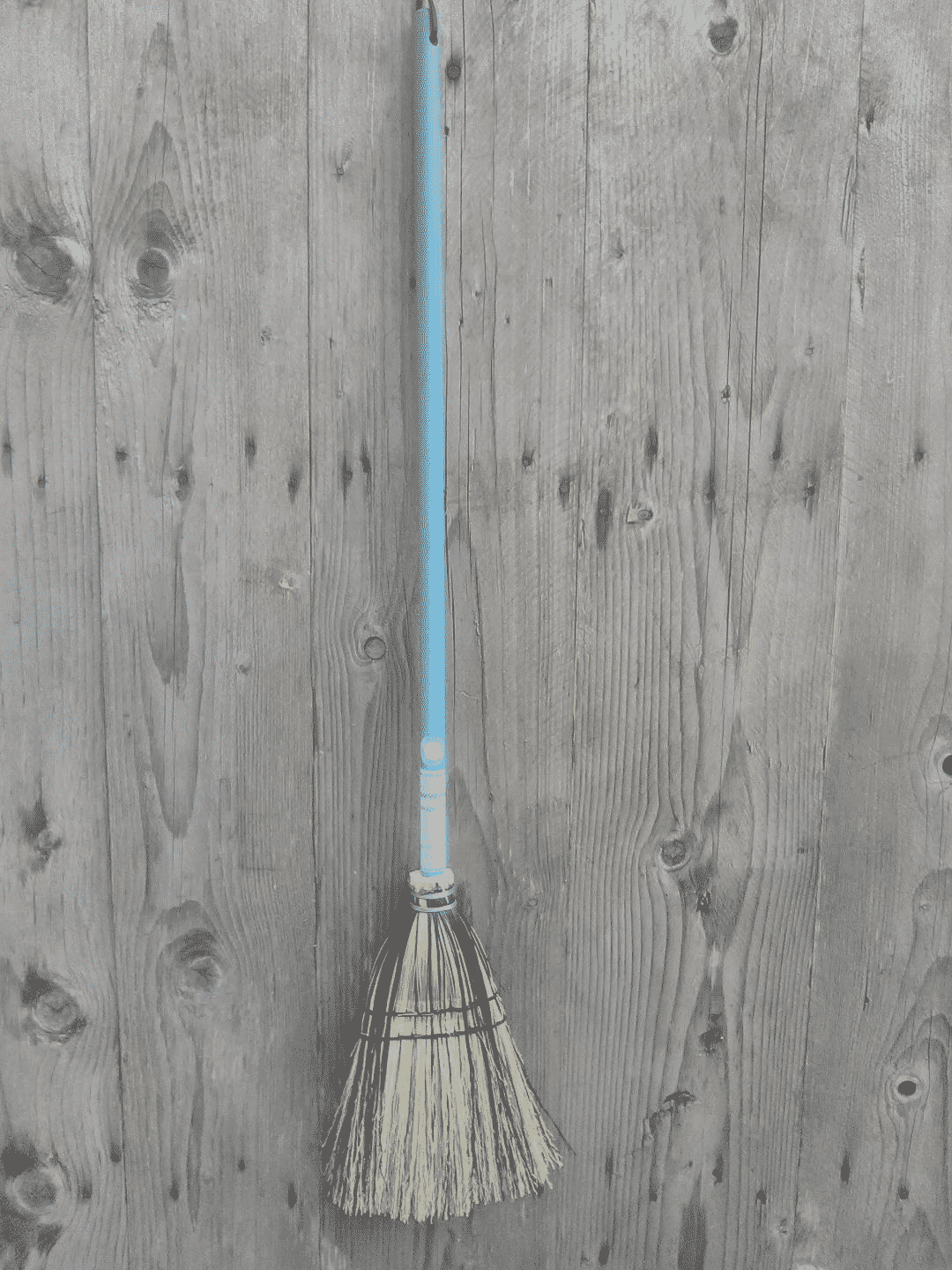 This stylish lobby broom with a splash of black is a small and light versatile broom with shorter bristles than the fireplace broom. It is made of premium golden colour broomcorn, splash of black for pizzazz and red twine. It has a light 5/8 inch blue softwood handle. Use it for touching up foyers and hallways. It is also a great size broom for small living quarters and motorized vehicles. While it can easily fit in most closets, there is a leather loop included on the handle for hanging up for the broom. Lobby broom with a splash of black
