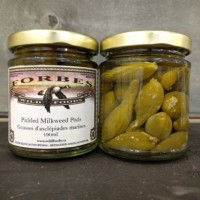 Milkweed Pods, Pickled 190ml