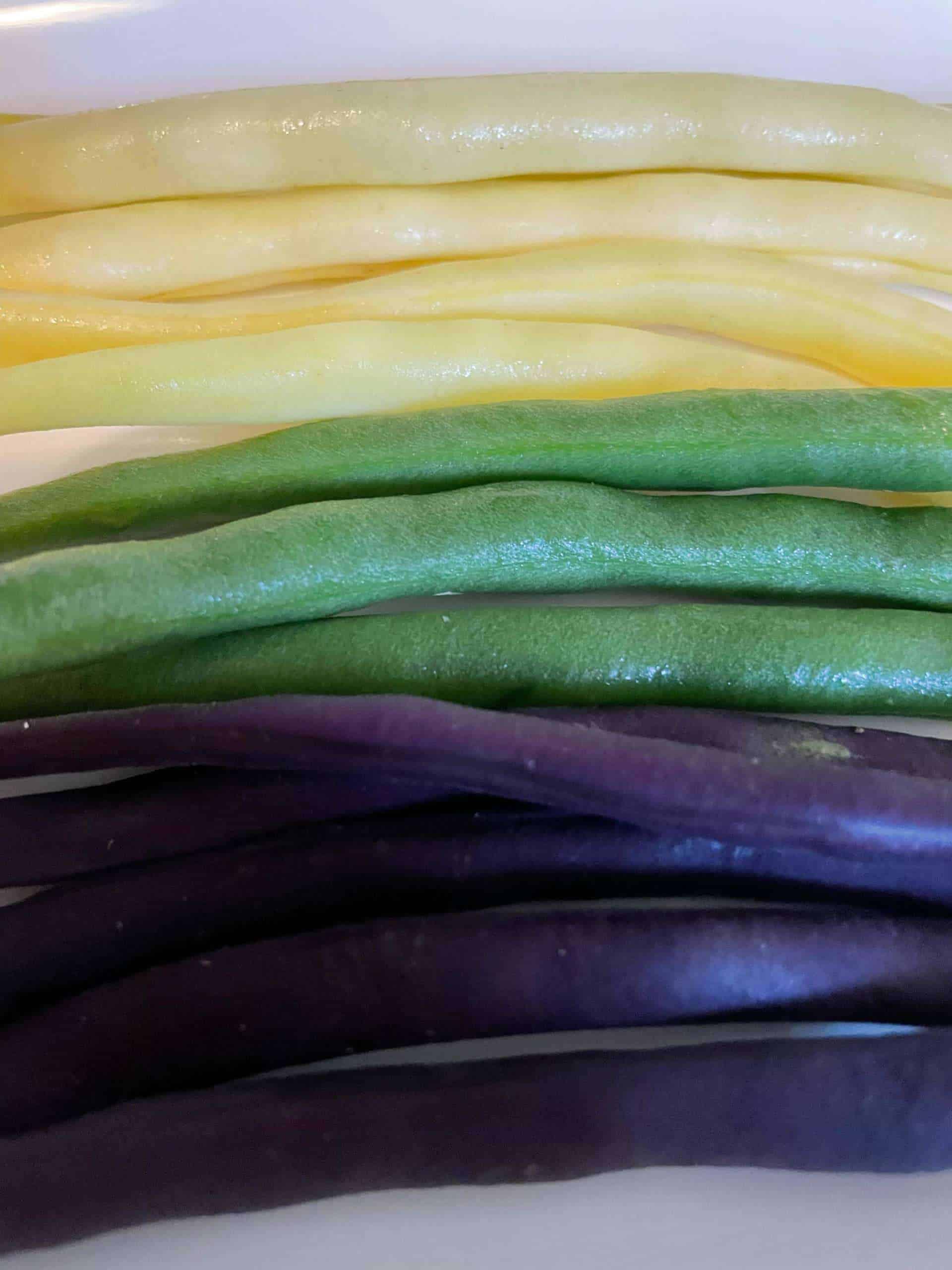 Bean Trio, purple, yellow, green bean, purple may turn green if over cooked Mixed Beans