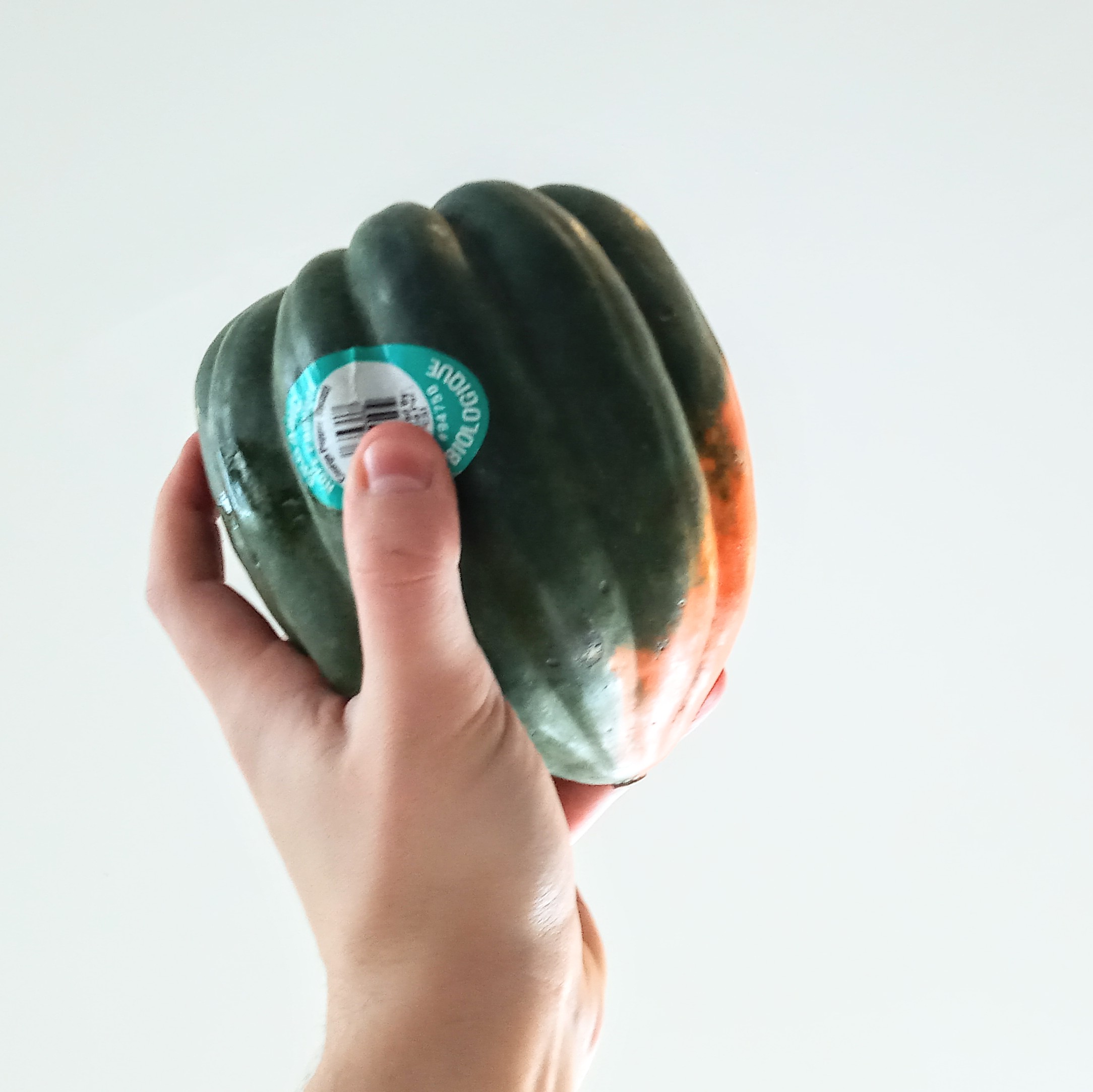 organic - Aylmer Ontario - large organic acorn squash organic - Aylmer Ontario - large
