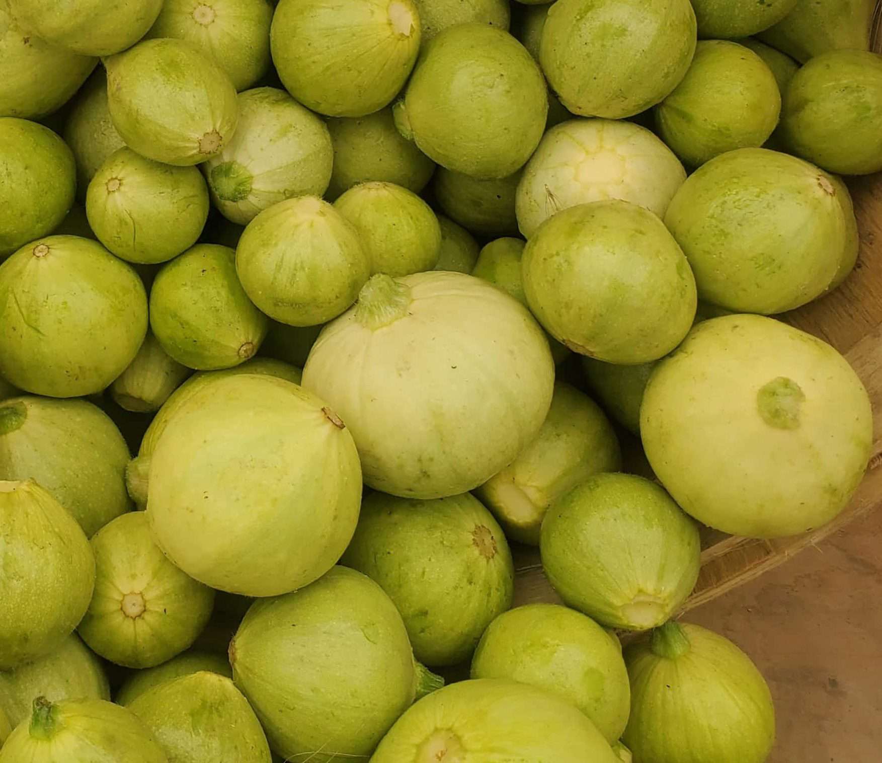 1 Quart of Small round patty pan squash Patty Pan Squash