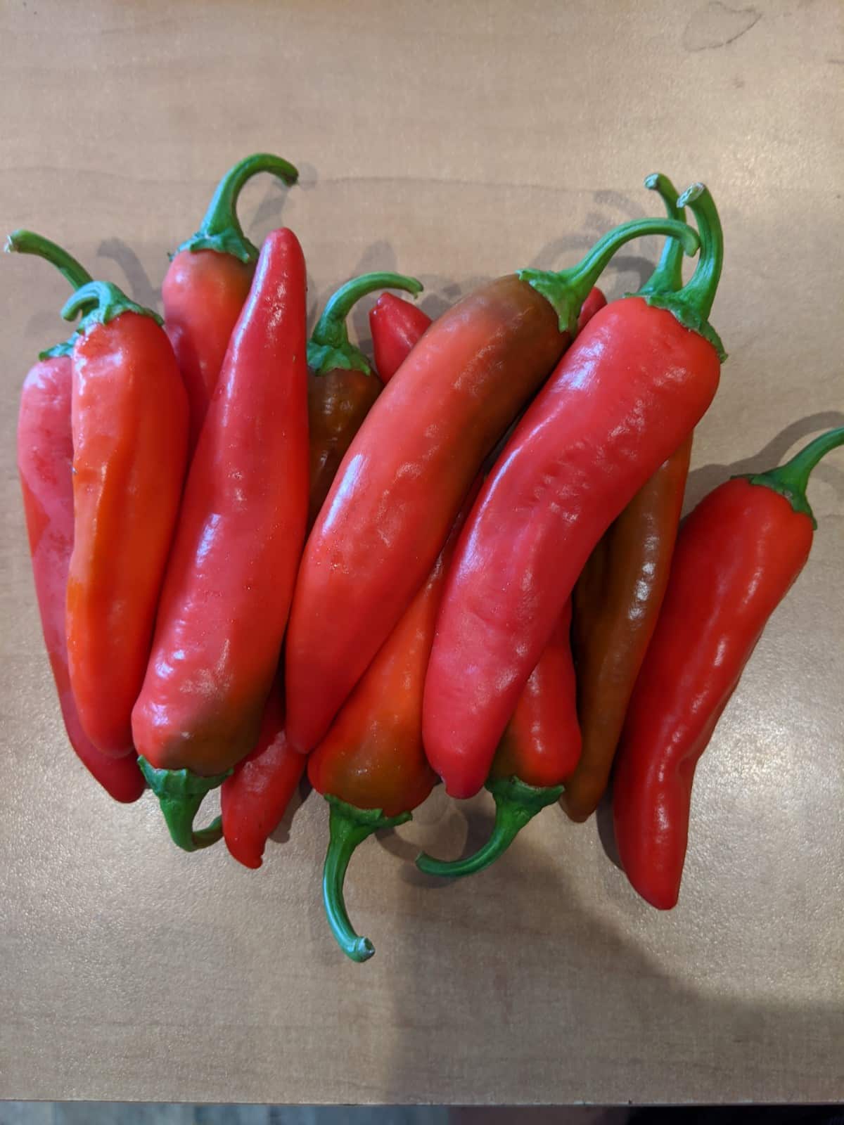Red ember hot peppers!