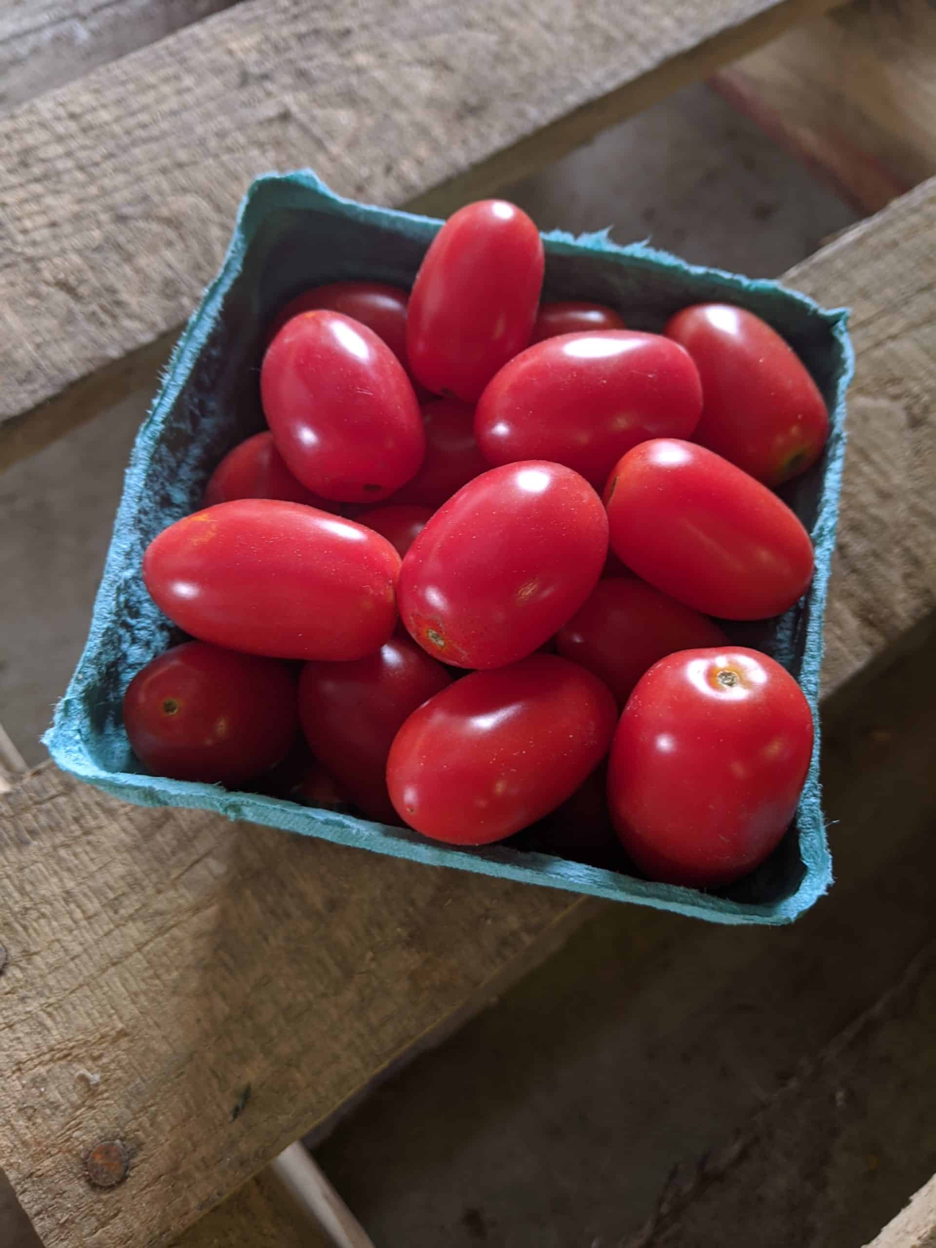 Red grape tomatoes