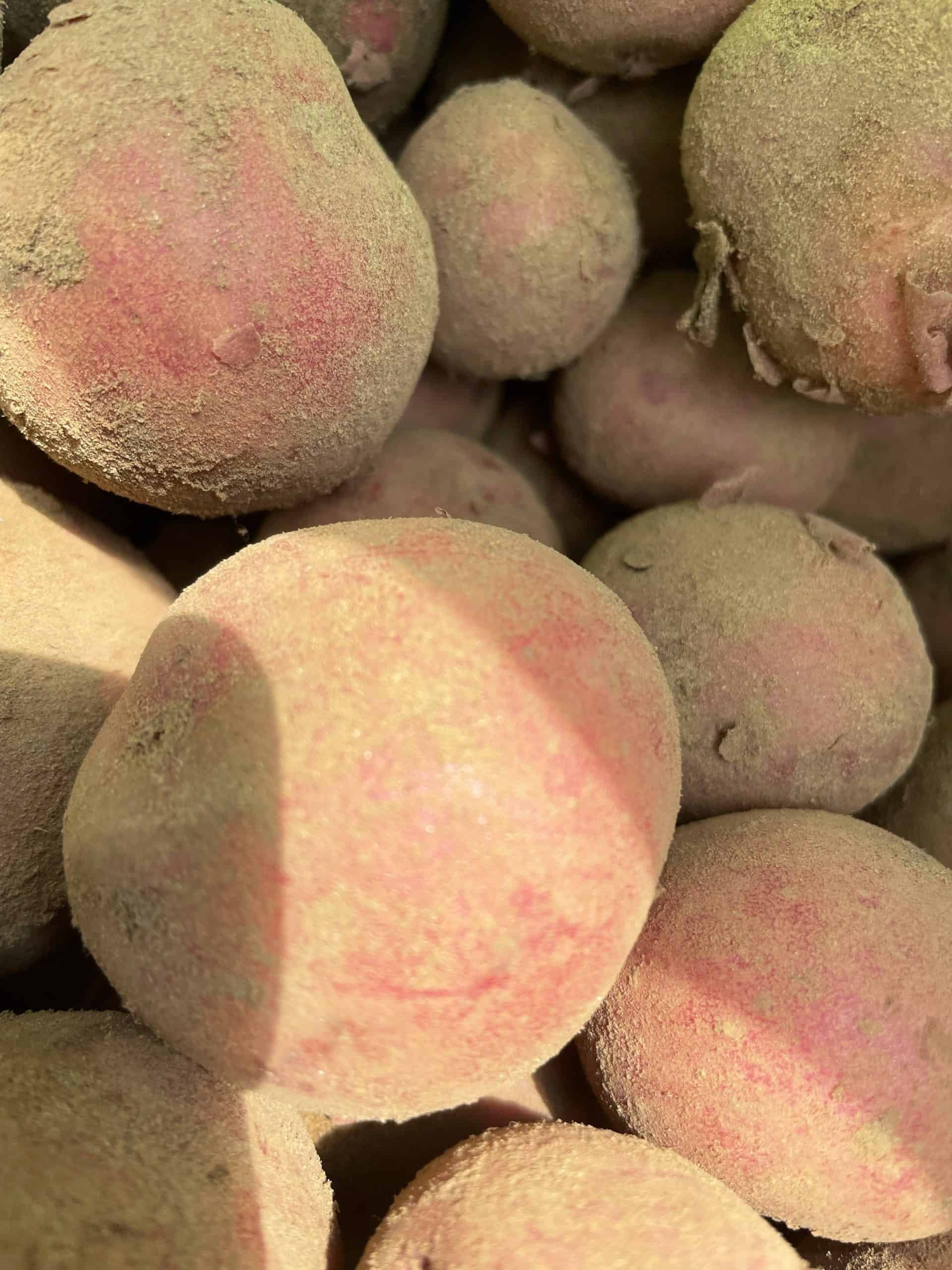 Chhieftain variety, sold per quart Red Potato