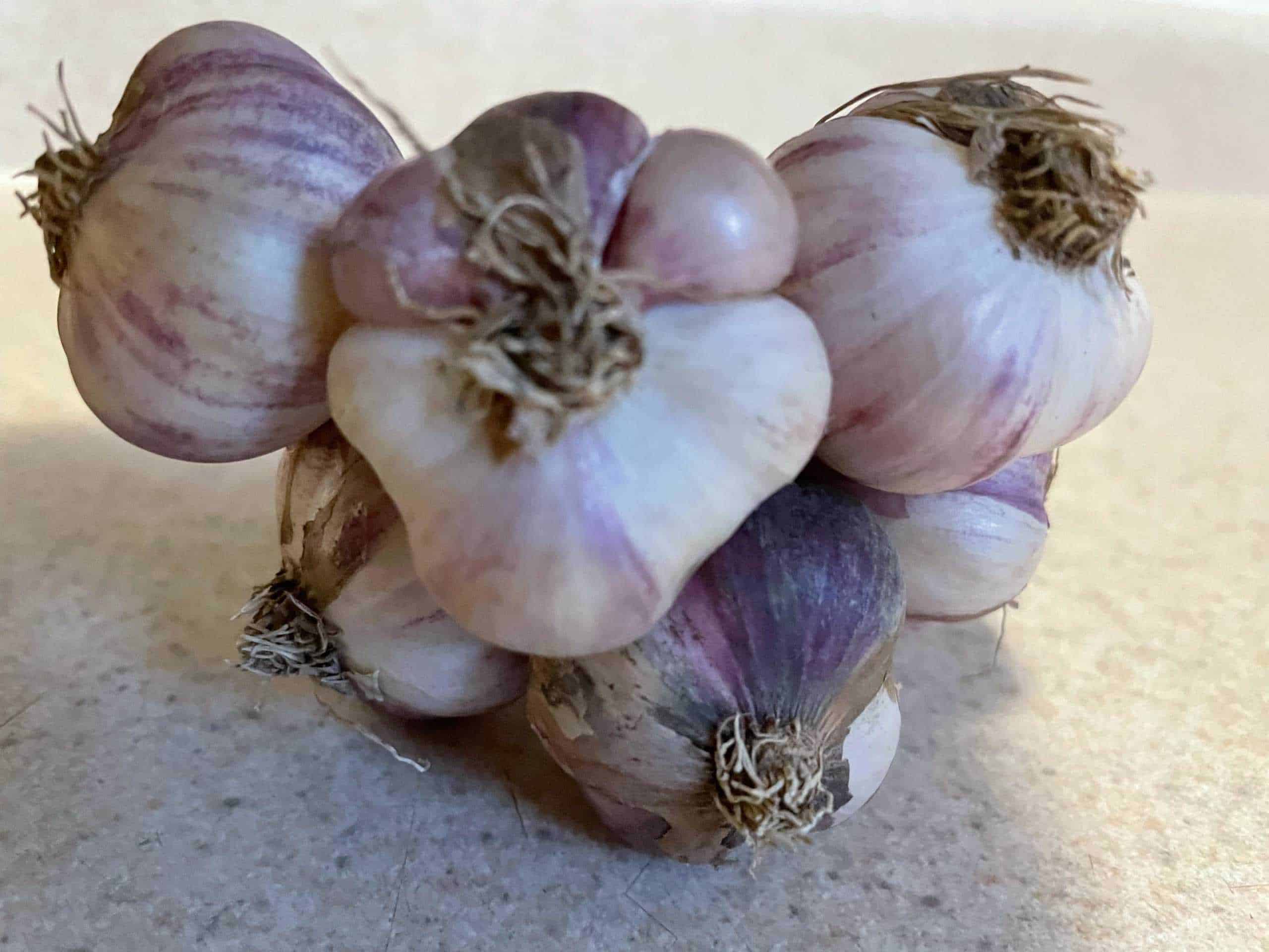 Robust flavor, sold by the bunch. Spicy Red Garlic