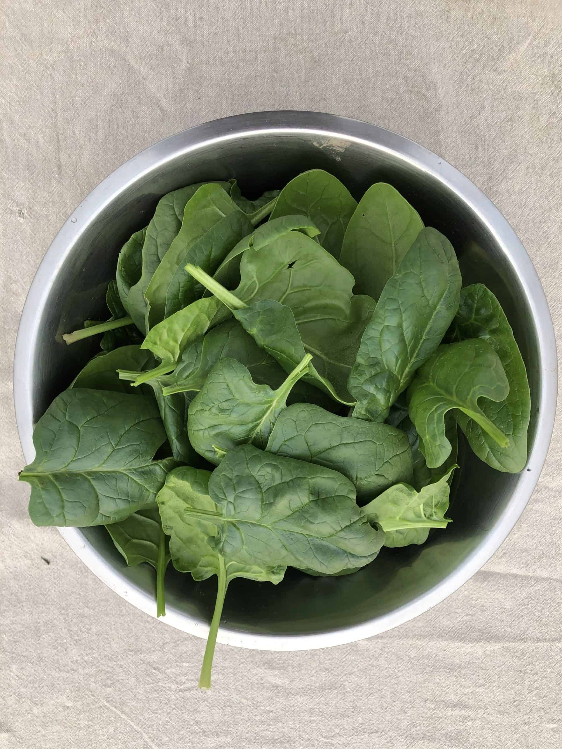 Sweet and buttery. 145g+ in resealable bag. Washed. Spinach