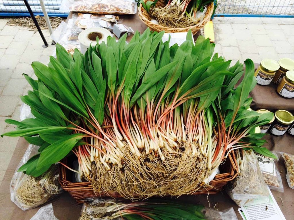 Wild leek, 110g bunch