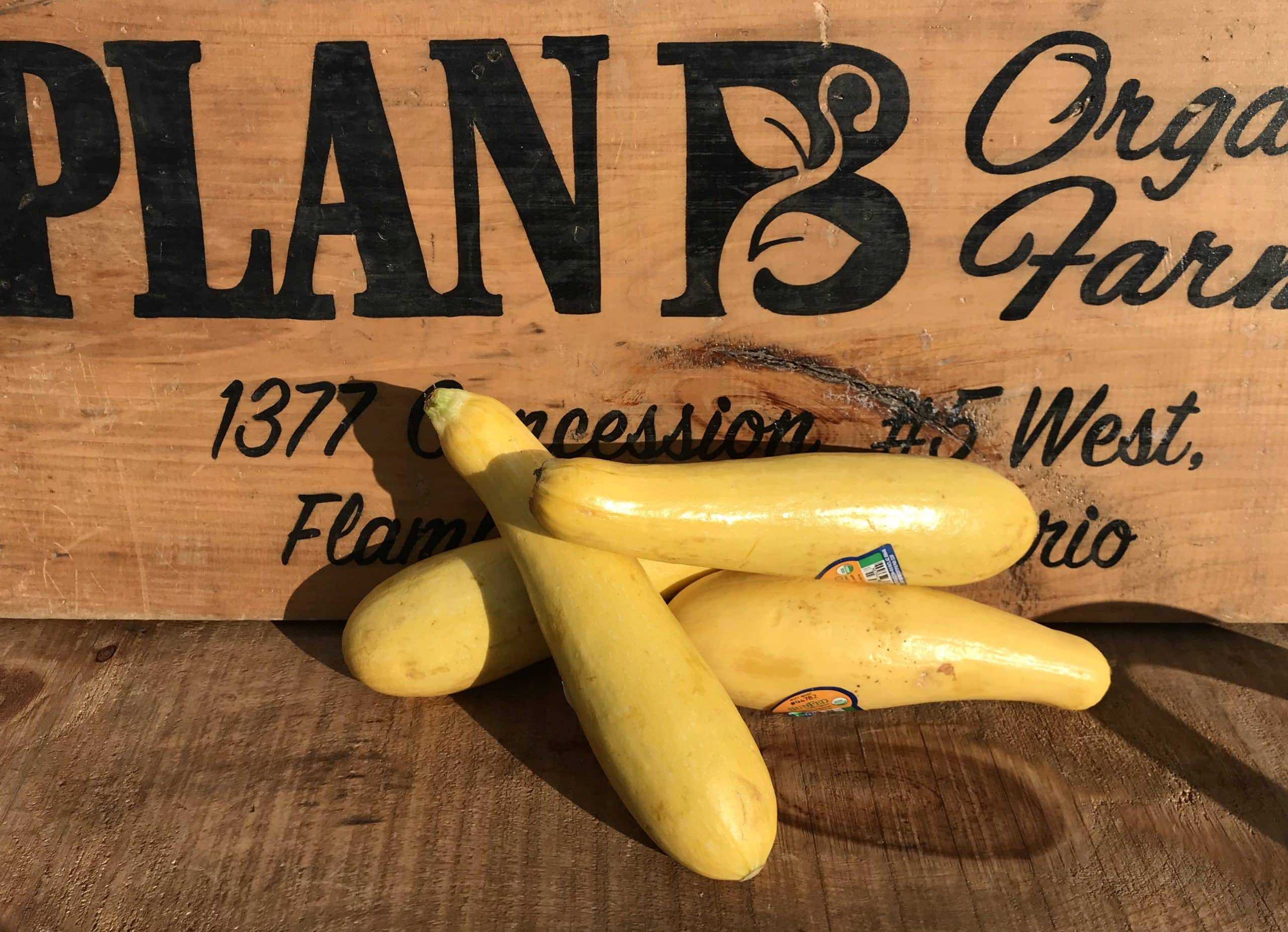 Organic, product of Mexico - 1 lb Zucchini (Imported)