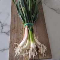 Young green garlic