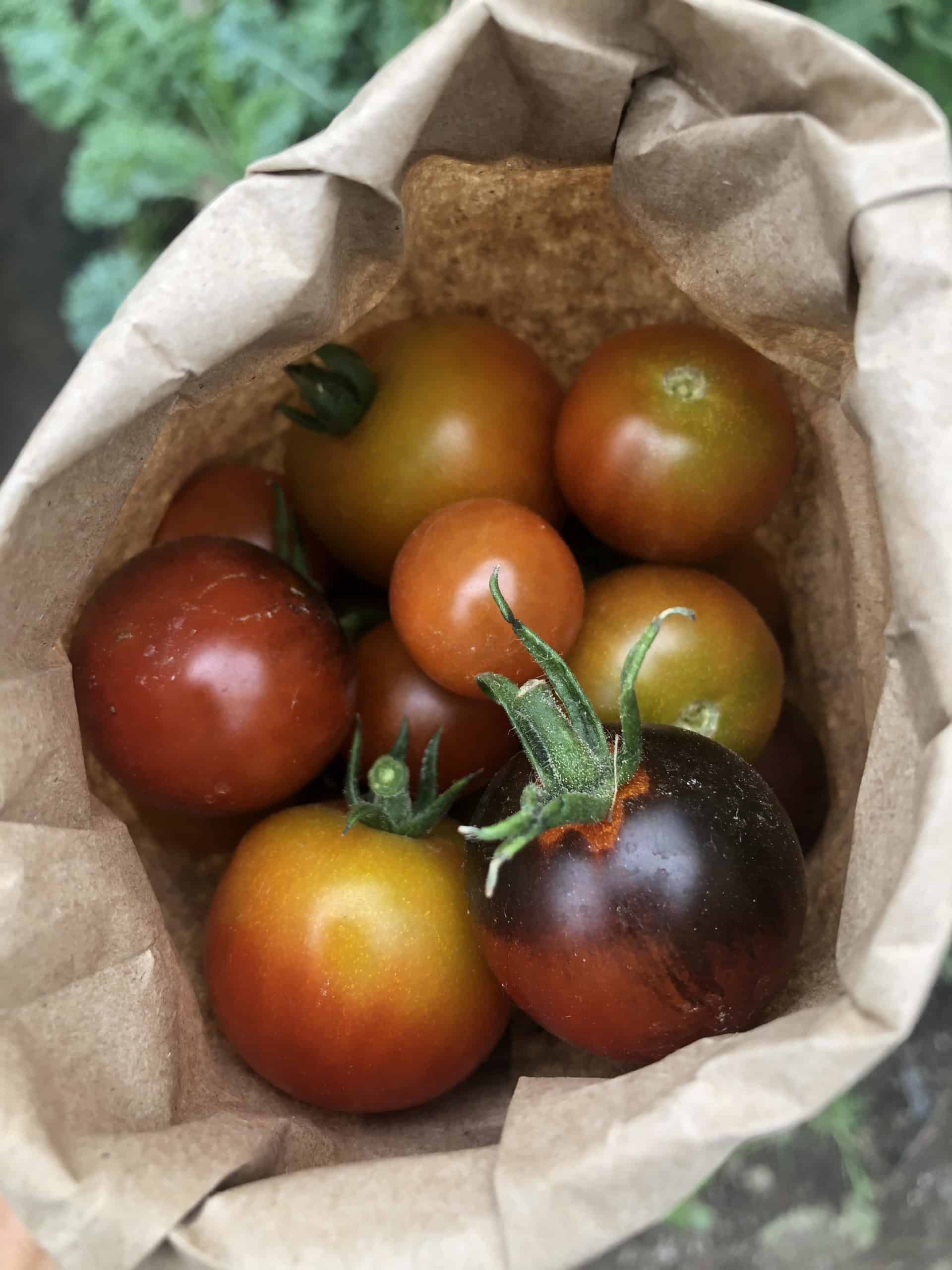 Pint Cherry Tomatoes