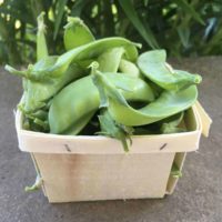 Snow Peas