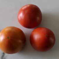 Field tomatoes
