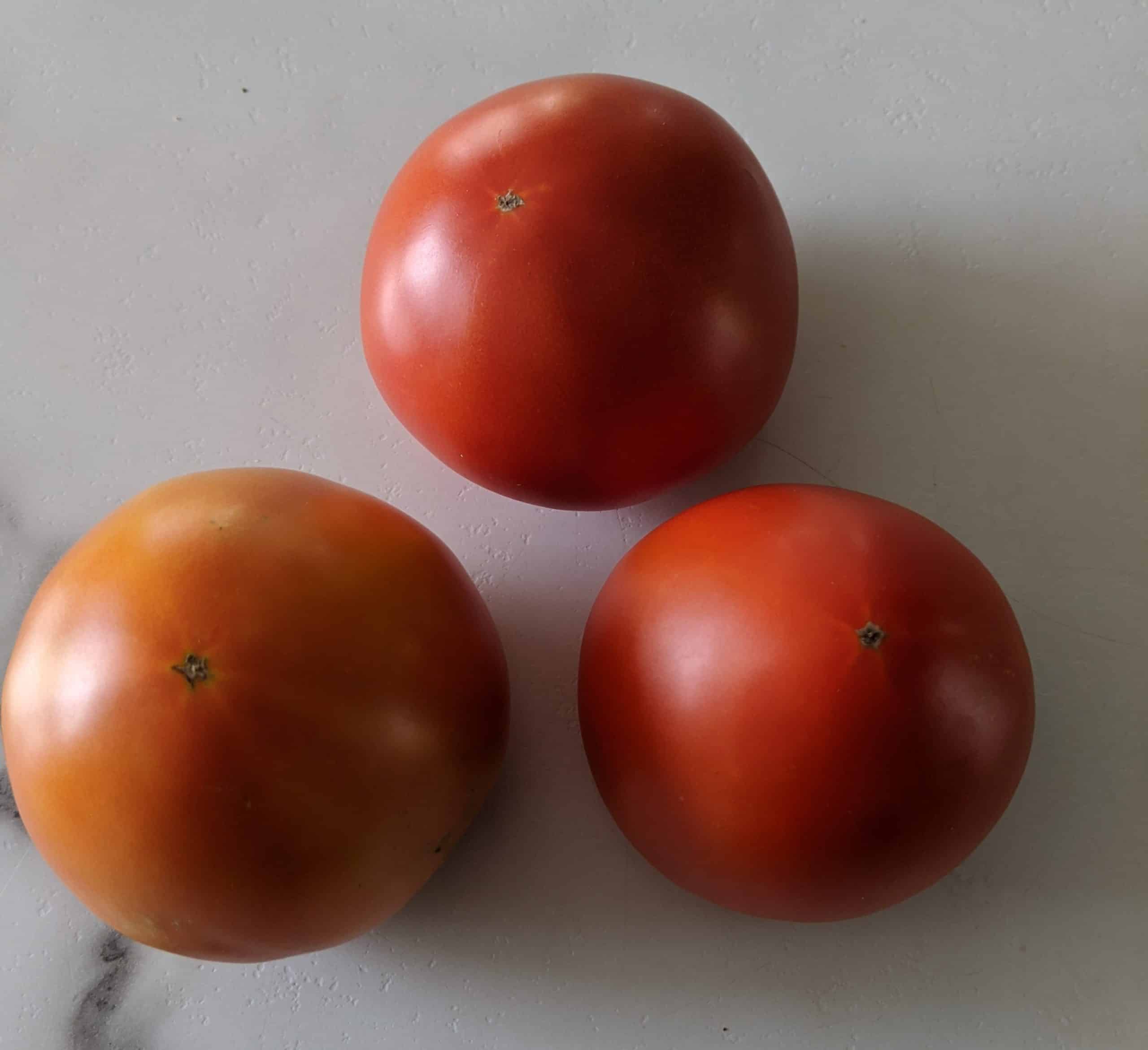 Field tomatoes