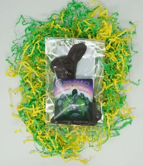 Spring Easter Bunnies are made from sweet 65% Vanilla Sea Salt. Nothing's better than chomping on a chocolate bunny ear, except maybe when it's a bunny made out of our best selling Vanilla Sea Salt Chocolate! Free of nuts, dairy, soy, gluten, additives & preservatives. Ingredients: roasted cacao, raw cane sugar, cacao butter, vanilla pods, sea salt Spring Easter Bunny - Single