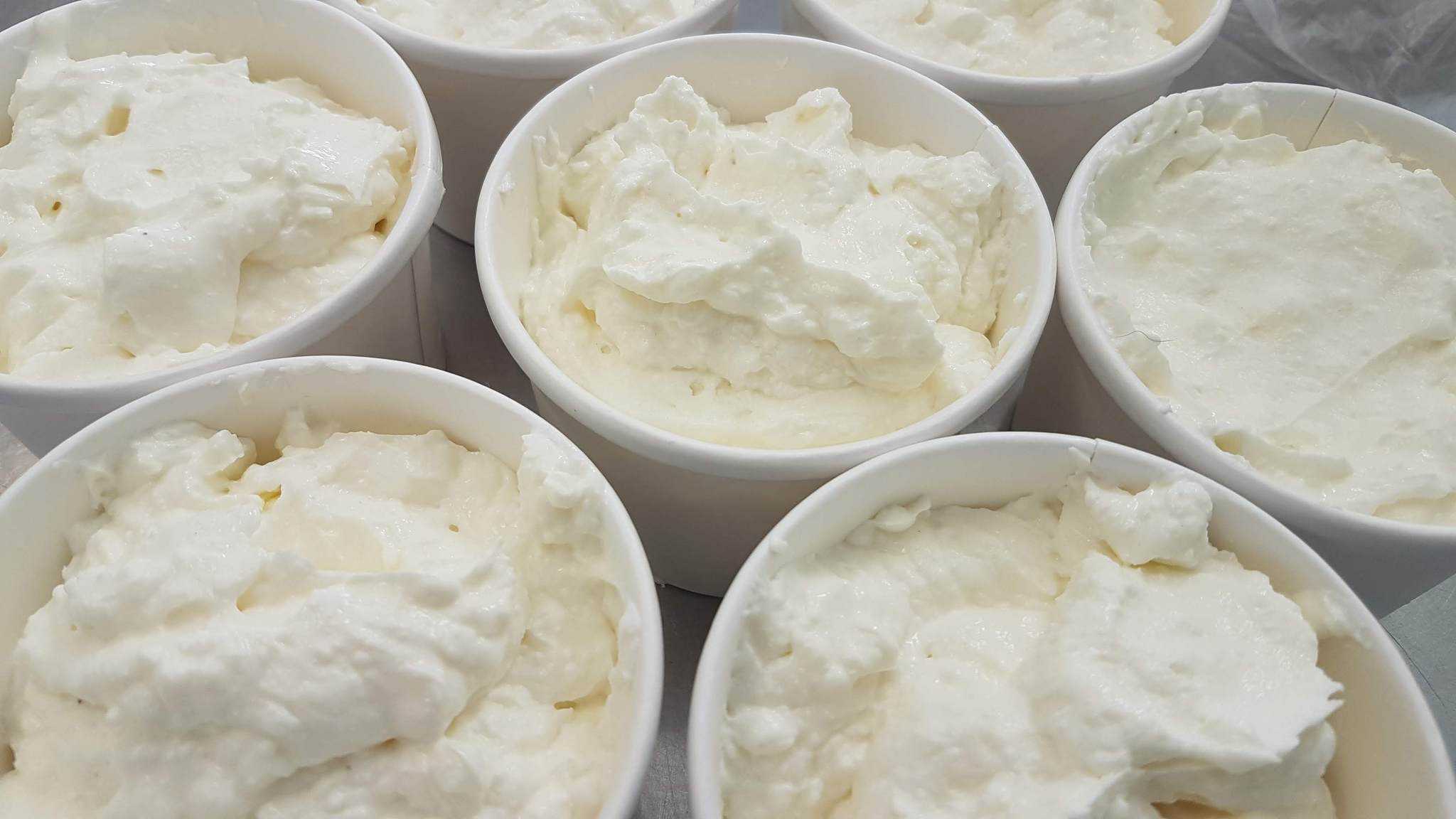 Small vanilla gelato