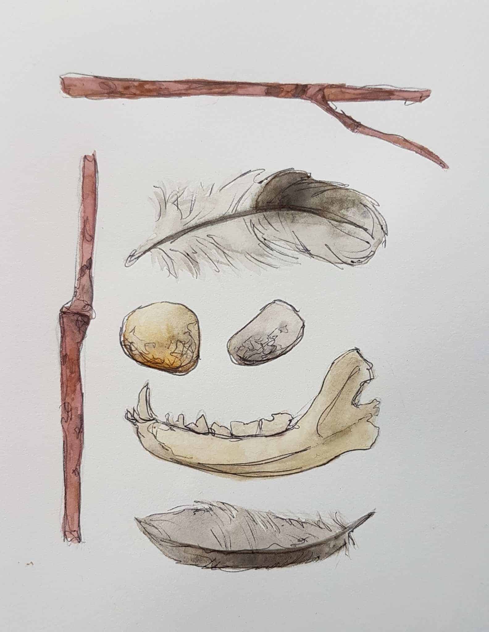 Cards of original paintings done by Jennifer Osborn. The items portrayed on each card represent items that have been found on years of walking in wild places in and around the farms she has lived. Farm Found: Stones